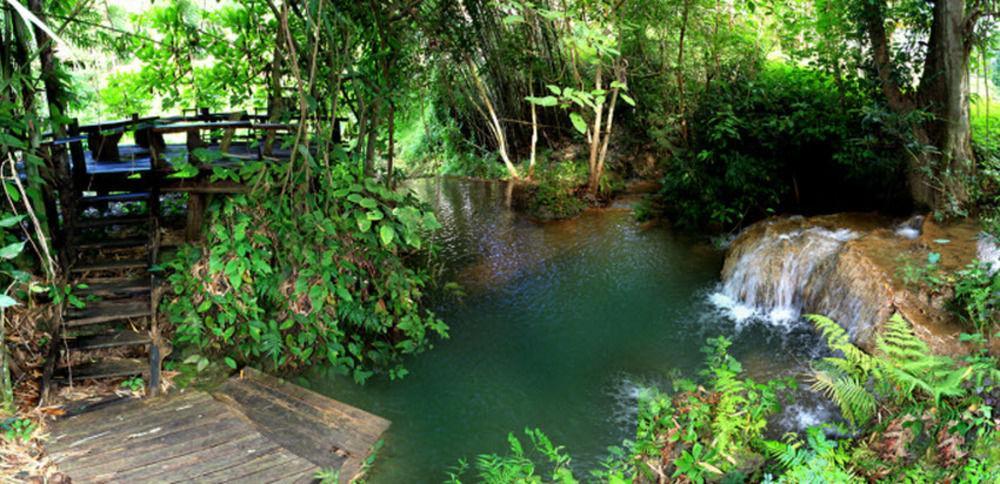Rabeang Pasak Treehouse Resort Chiang Mai Bagian luar foto