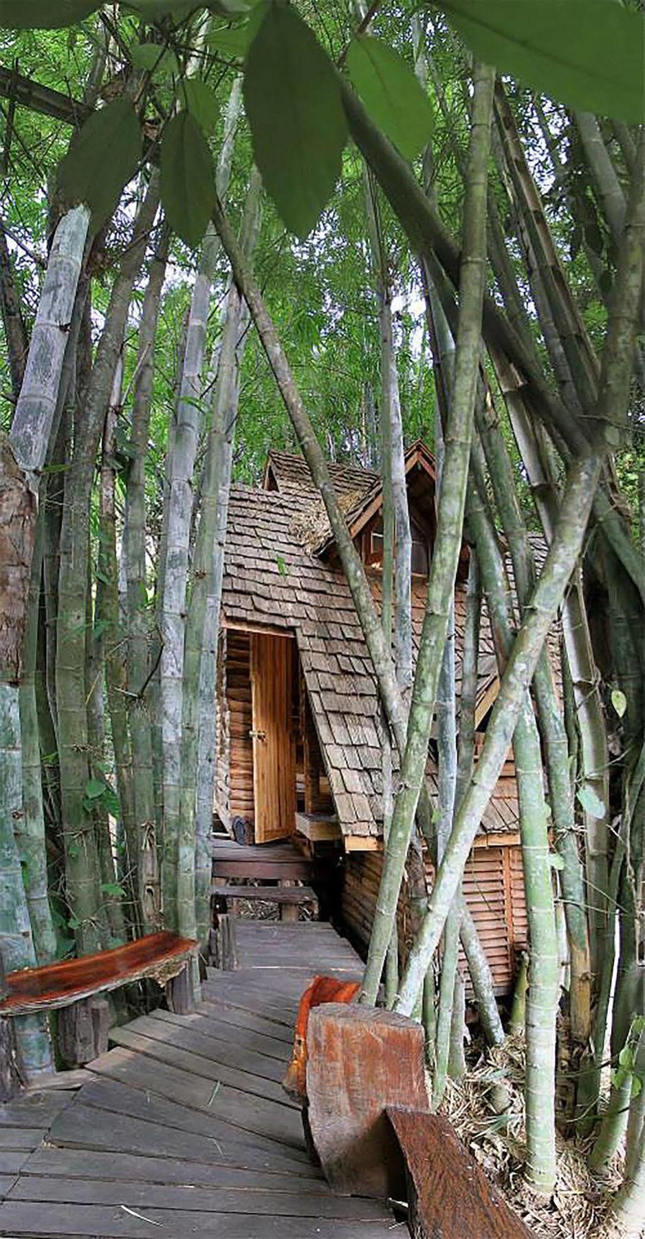 Rabeang Pasak Treehouse Resort Chiang Mai Bagian luar foto